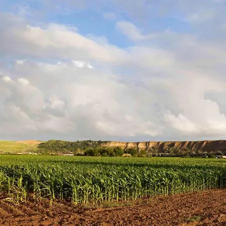Casa Rural Las Rubias Сasa de vacaciones Encinarejo De Cordoba